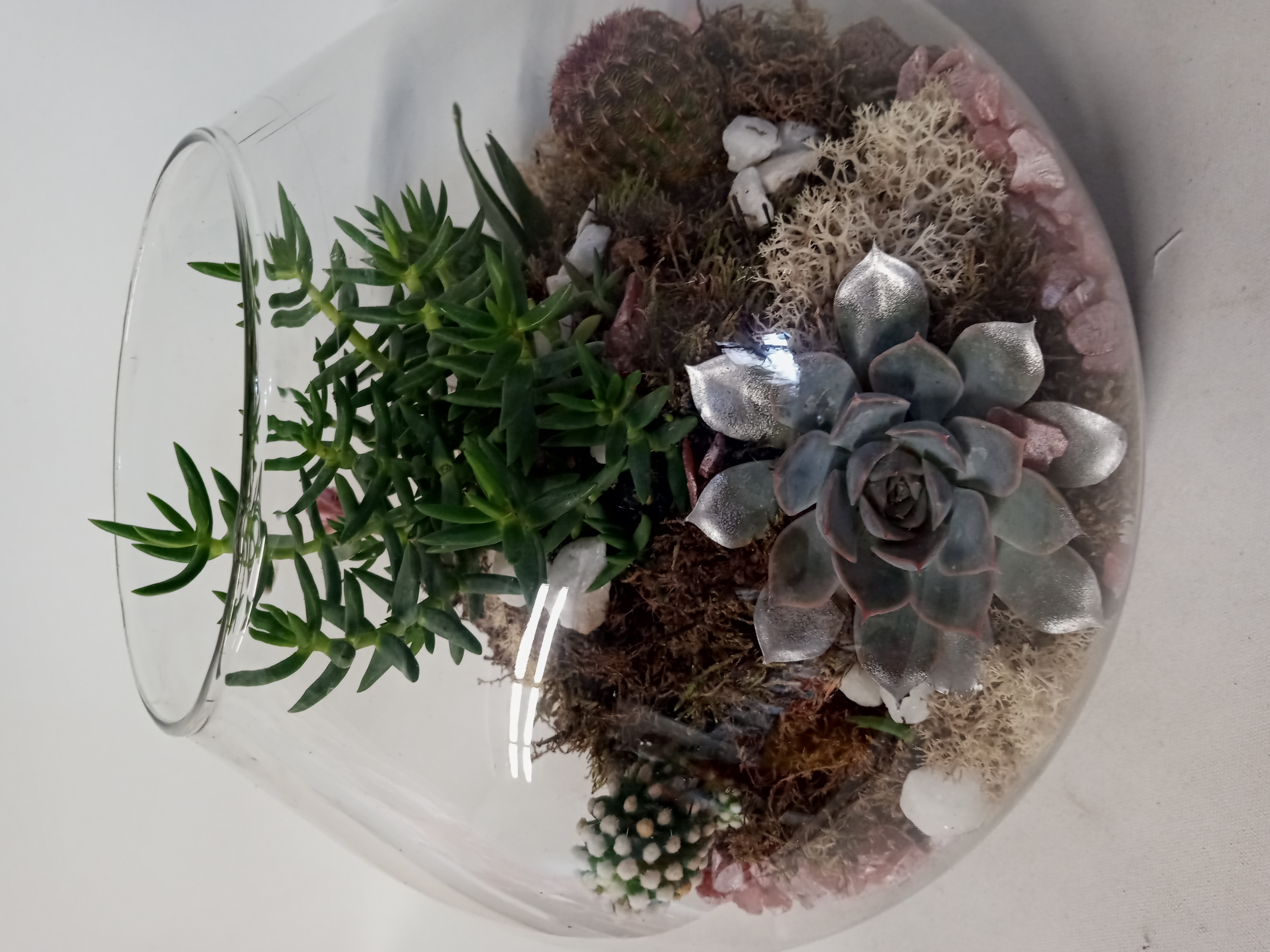 Pequeño Jardín 1 1